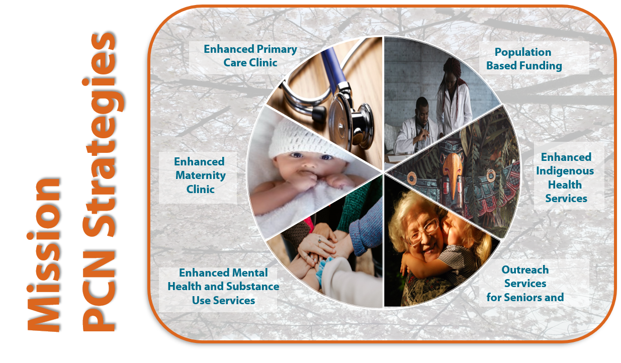 Primary Care Network Pcn Divisions Of Family Practice